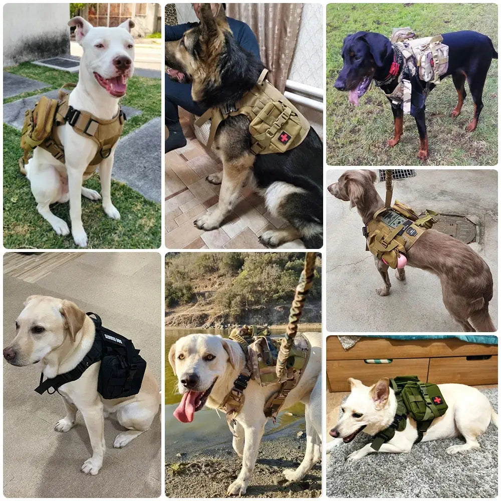 Dog Harness Collar Leash Set