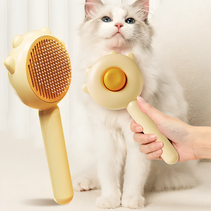 Pet Hair Removal Brush