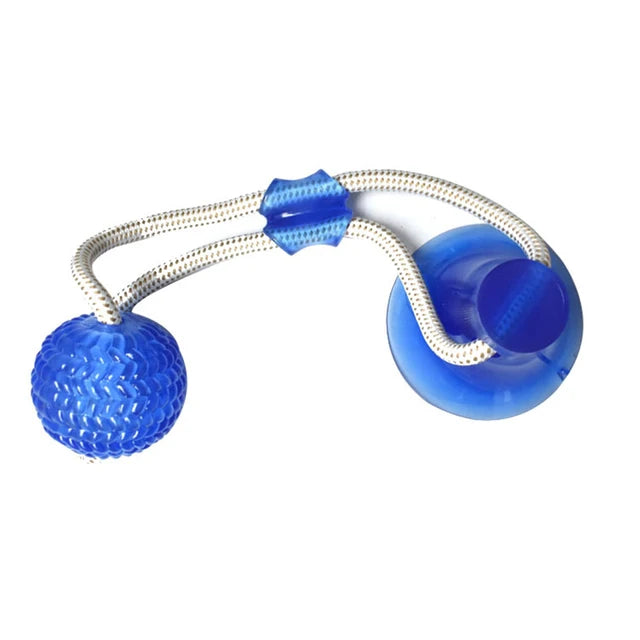 Pet Puppy Interactive Suction Cup