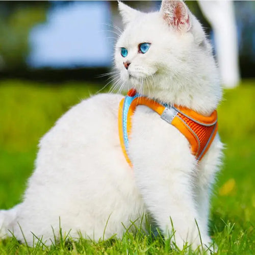 Reflective Pet Harness