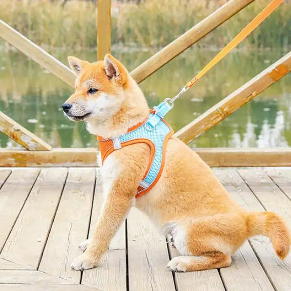 Reflective Pet Harness