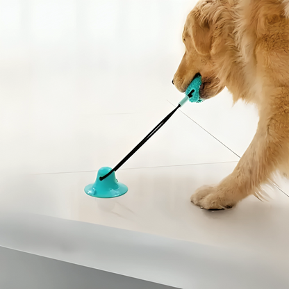 Pet Puppy Interactive Suction Cup